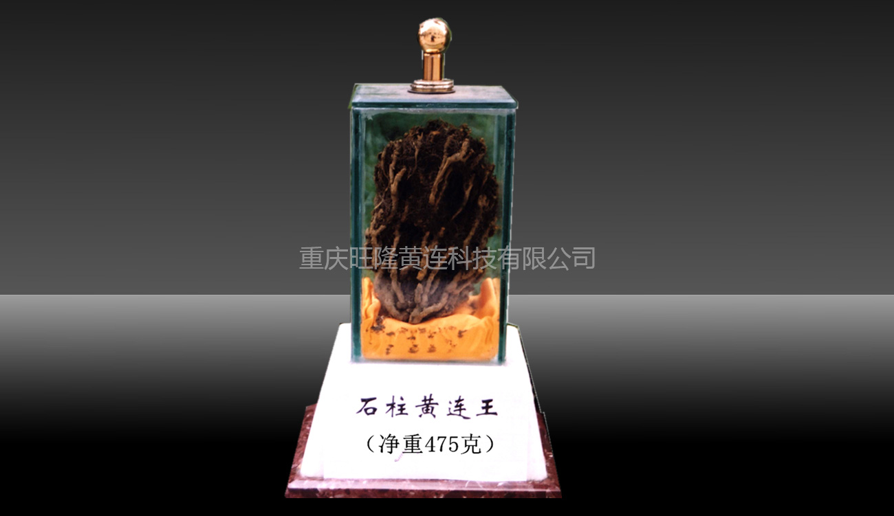 黃連産(chǎn)品