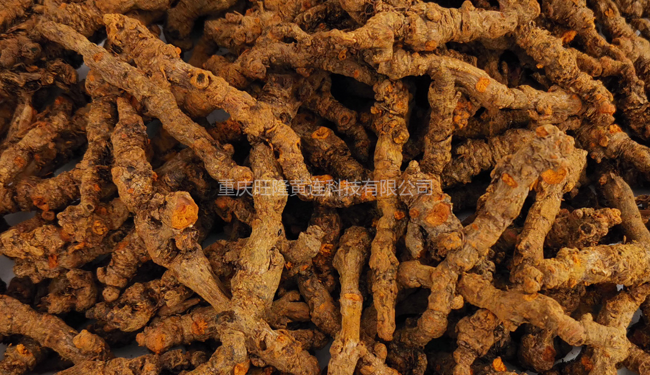 黃連産(chǎn)品