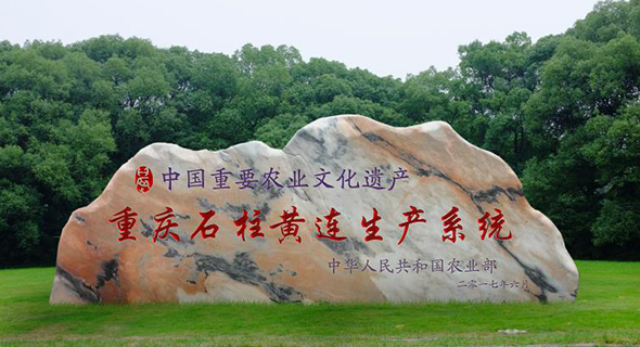 關于我們 關于我們