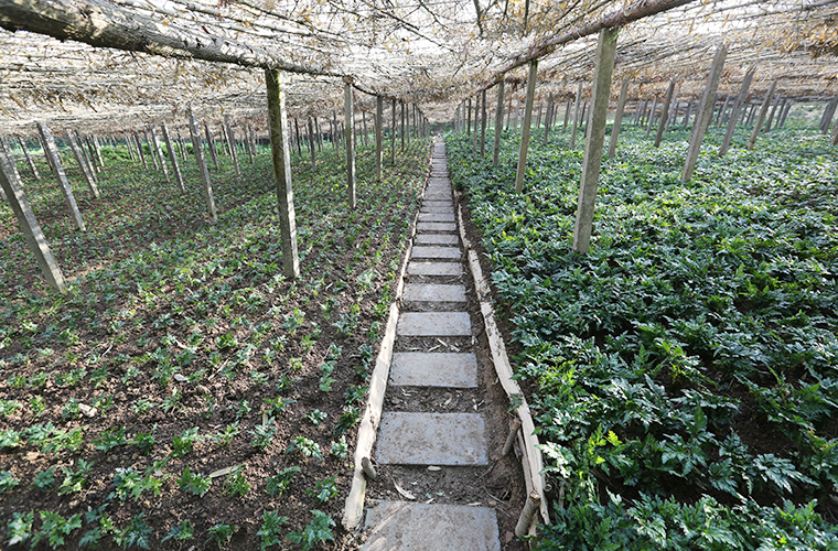 基地建設 基地建設