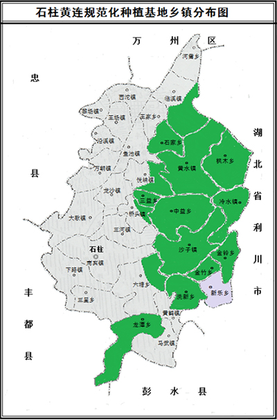 基地建設 基地建設