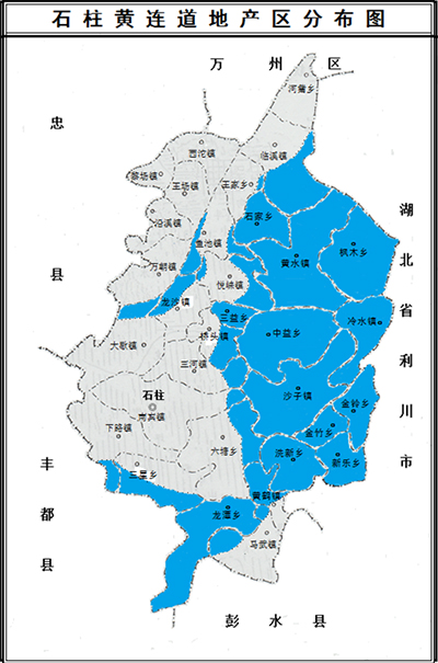 基地建設 基地建設