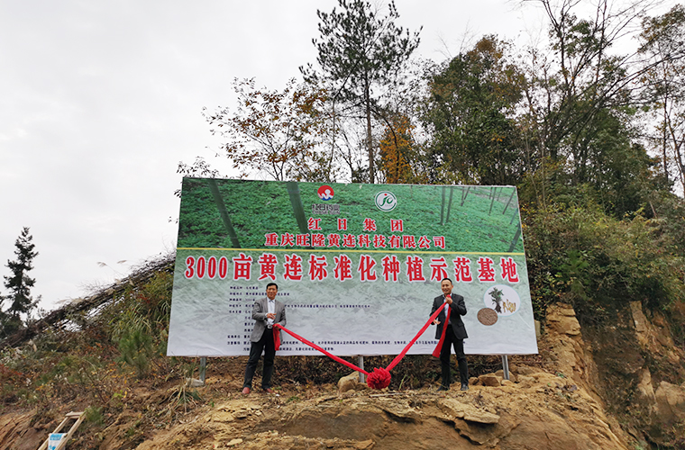 基地建設 基地建設