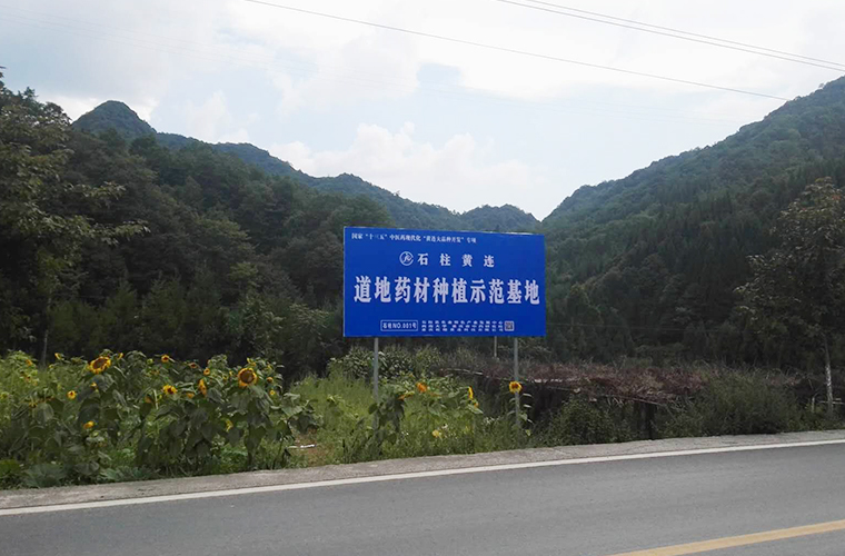 基地建設 基地建設